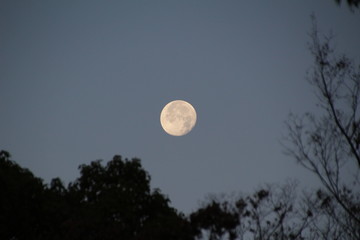 Super Blood Moon 2019.12.14 Nagoya