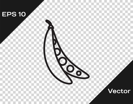 Black line Kidney beans icon isolated on transparent background. Vector Illustration