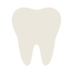 Whole molar vector icon flat isolated