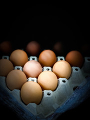 Close up eggs in box dark scene food and nature backgrounds