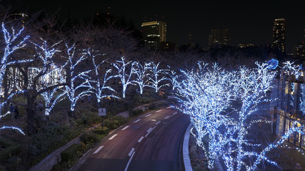 クリスマスシーズンを飾る東京ミッドタウンのイルミネーション