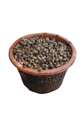 Unhulled cashew nut on white background,thailand