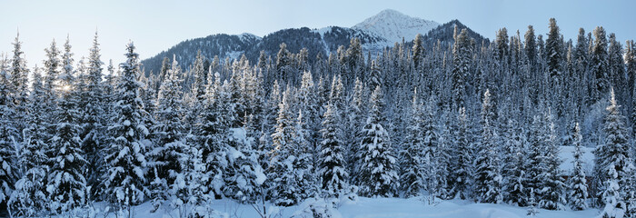Berglandschaft. Szenischer Panoramablick. Winterwald, schneebedeckte Bäume. Wilder Ort in Sibirien.