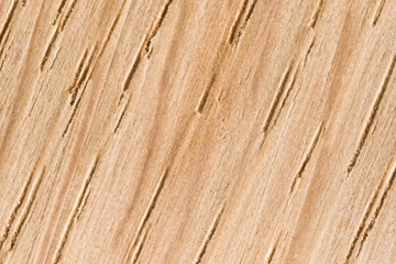 Light oak wood texture. Fiber close-up. Macro.