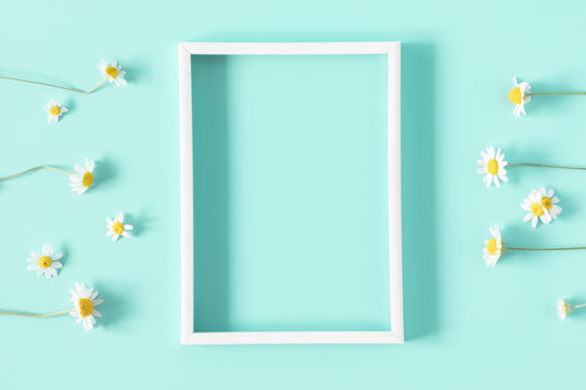 Beautiful flowers composition. Blank frame for text, spring and summer chamomile white flowers on pastel mint background. Flat lay, top view, copy space 
