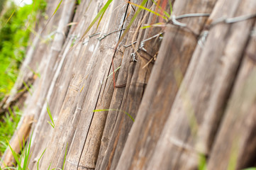 Obraz premium Bamboo fence
