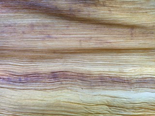 old wood texture background