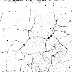 Vector grunge texture. Black and white abstract background. Eps10