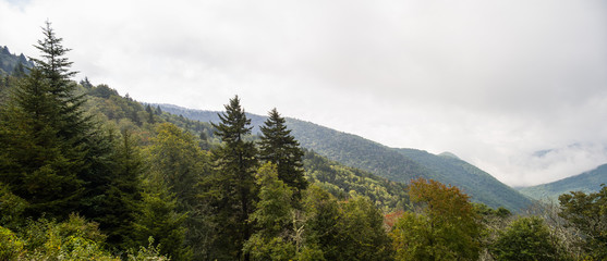 Scenic View, Blue Ridge Parkway