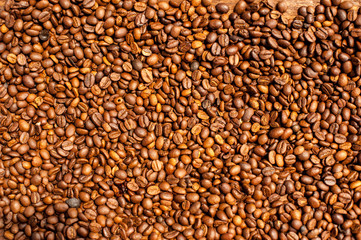 Roasted coffee beans