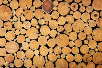 Möbelaufkleber Timber © googaigugu