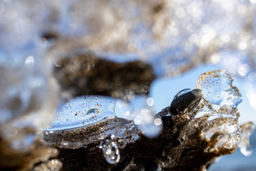 Ice shapes on the beach from rocks and pebbles in the winter