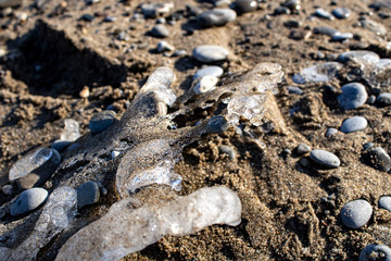 Ice shapes on the beach from rocks and pebbles in the winter