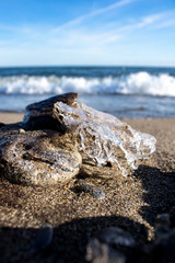 Frozen shapes of rock and sand in the beach in the winter