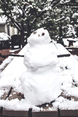 Little Snowman
