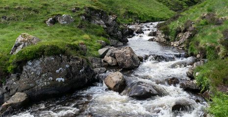 Creek with rapids