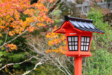 Fototapeta na wymiar Red lantern in autumn season in the japanese garden in Minoo park, Japan