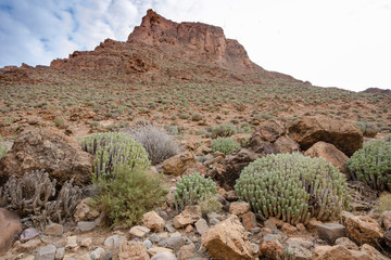 Antiatlas 