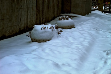 snow covered house in forest