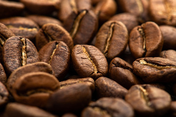 Coffee beans close-up background. Fresh roasted