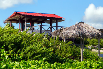 Fototapeta na wymiar Tropical landscape with palm trees under a blue sky.Horizontally.