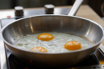 egg
