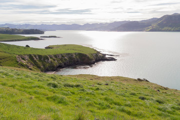 Late afternoon. Akaroa, New Zealand.