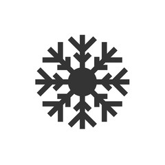 snow flake vector icon illustration for website and design use
