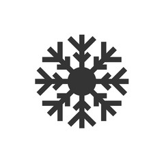 snow flake vector icon illustration for website and design use