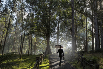 Obraz premium Man in foggy forest. Mixed media