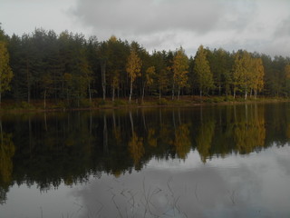 lake in the forest