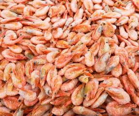 Red shrimp in the market as a background