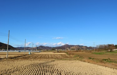 秋　田舎　風景　空　道　電柱　杤木