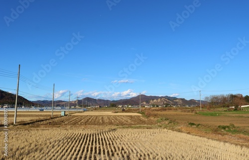 秋 田舎 風景 空 道 電柱 杤木 Wall Mural Wallpaper Murals Green7