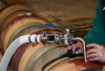 wine barrel being filled