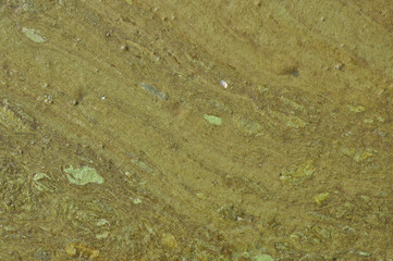 Water coated with sludge