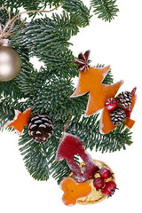 Christmas homemade decoration objects   on fir tree branches  made  of dry red orange peels, cones, berries