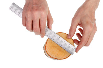 An elderly home carpenter measures the diameter of a birch cross section using a metal ruler
