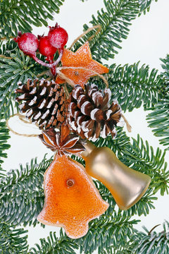 Christmas homemade decoration toys  on fir tree branches  made  of dry red orange peels, cones, berries
