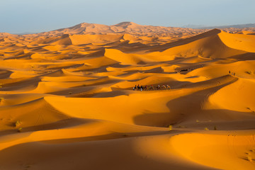 Erg Chebbi