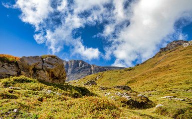 landscape in the alps