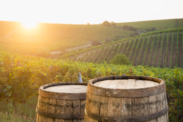 Red wine with barrel on vineyard in green Tuscany, Italy © kishivan