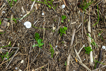 Texture of dried shore of the lake after spring snowmelt runoff