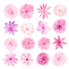 Set of hand painted watercolor romantic flowers