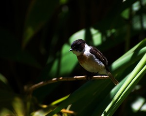 Point de vue depuis Dioré