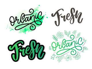 Organic slogan brush lettering. Hand drawn word organic with green leaves. Label, logo template for organic products, healthy food markets.