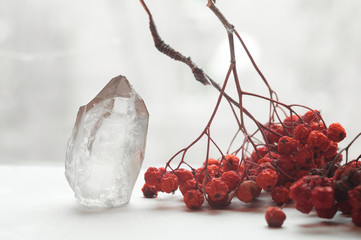 Snow white large crystal of pure transparent quartz. Chalcedony gem on background of bunch rowan berries, mountain ash