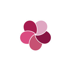 Beauty plumeria icon flowers design illustration