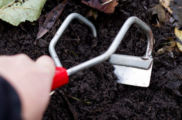 Compost as fertilizer