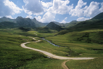 Fototapeta na wymiar Gave d'Ossau; vallée d'Ossau, Parc National des Pyrénées; region Aquitaine; 64